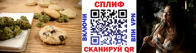 Cannafood конопля  Шенкурск 