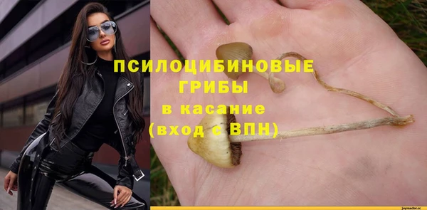 2c-b Алексеевка
