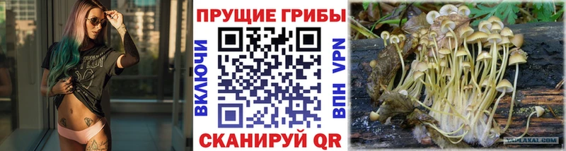Галлюциногенные грибы MAGIC MUSHROOMS  Шенкурск 