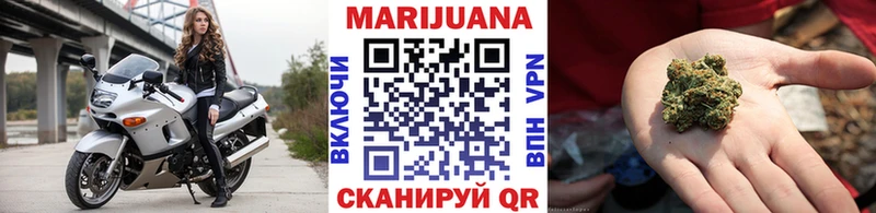 Бошки марихуана Amnesia  Шенкурск 